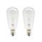 16 Packs: 2 ct. (32 total) Creative Collection&#x2122; Shimmer Lights Edison Replacement ST12 Bulbs by Ashland&#x2122;